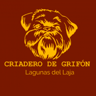 Venta de cachorros grifon de brusela